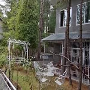 Pinetree Resort Nathiagali Nathia Gali 外观 照片